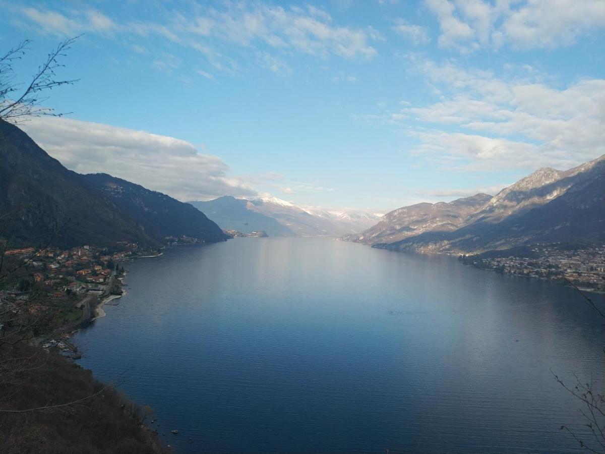 Apartment A Lago Private Beach And Parking Oliveto Lario Екстер'єр фото