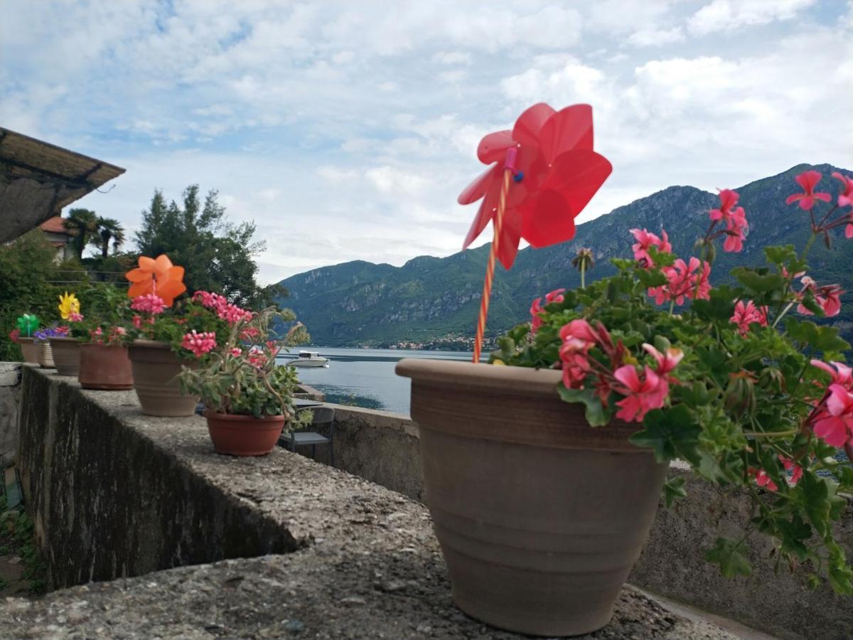 Apartment A Lago Private Beach And Parking Oliveto Lario Екстер'єр фото