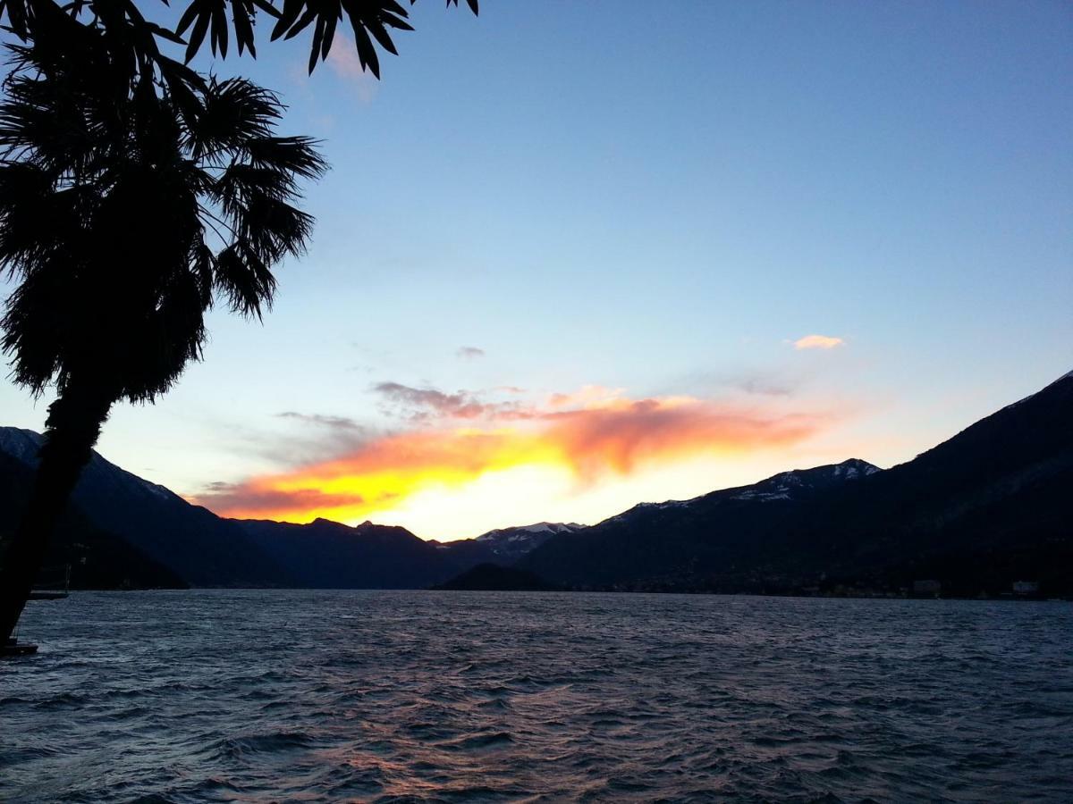 Apartment A Lago Private Beach And Parking Oliveto Lario Екстер'єр фото